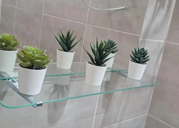 شقة La Celeste كوراليهو